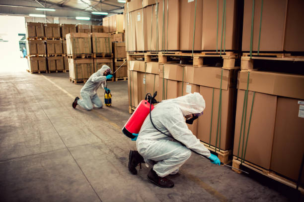 Best Insect Control  in Commack, NY
