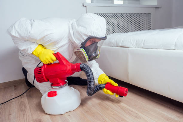 Reliable Commack, NY Pest Control Solutions
