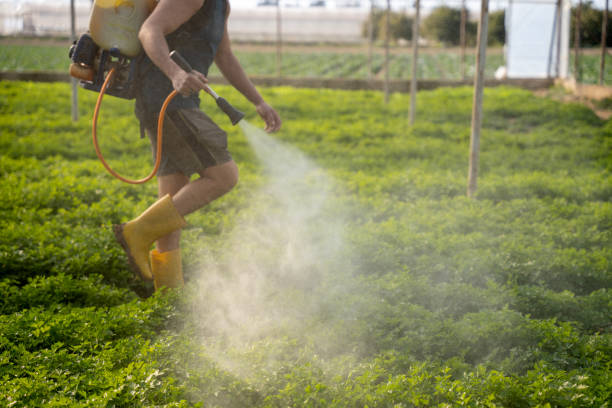 Best Affordable Exterminators  in Commack, NY