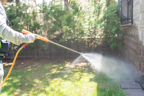 Best Termite Control Services  in Commack, NY