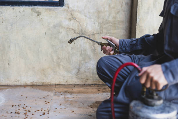 Best Pest Prevention Services  in Commack, NY
